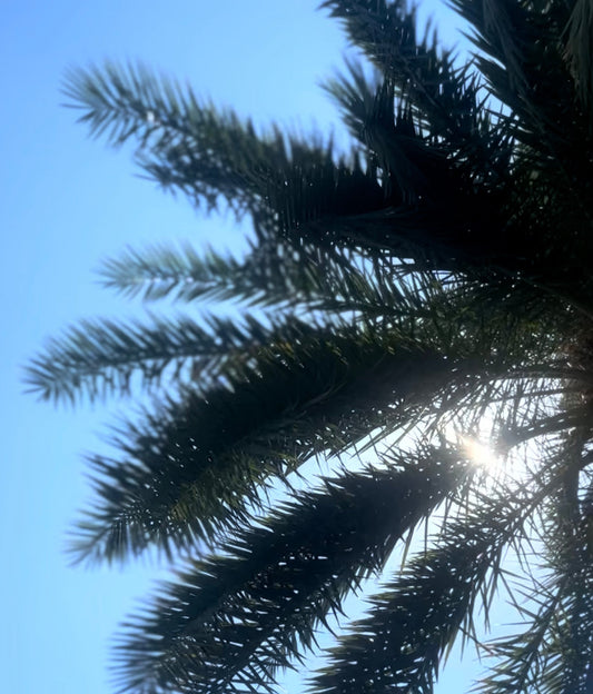 A Laid-Back Miami Weekend for Adults